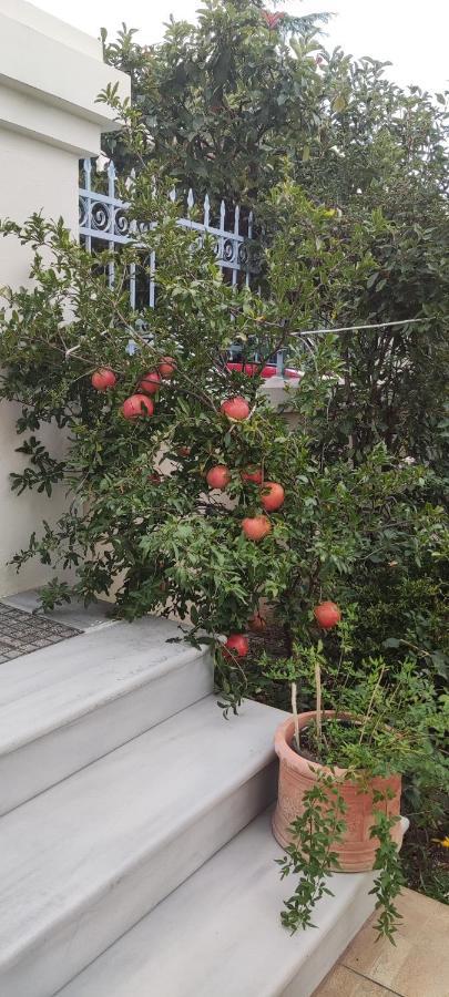 Dora'S Home With Garden Volos Exterior foto